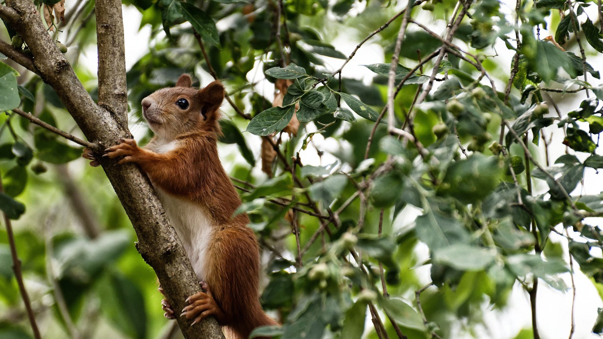 控球战术是否因高频率传球影响射门效率，控球率高就会赢吗