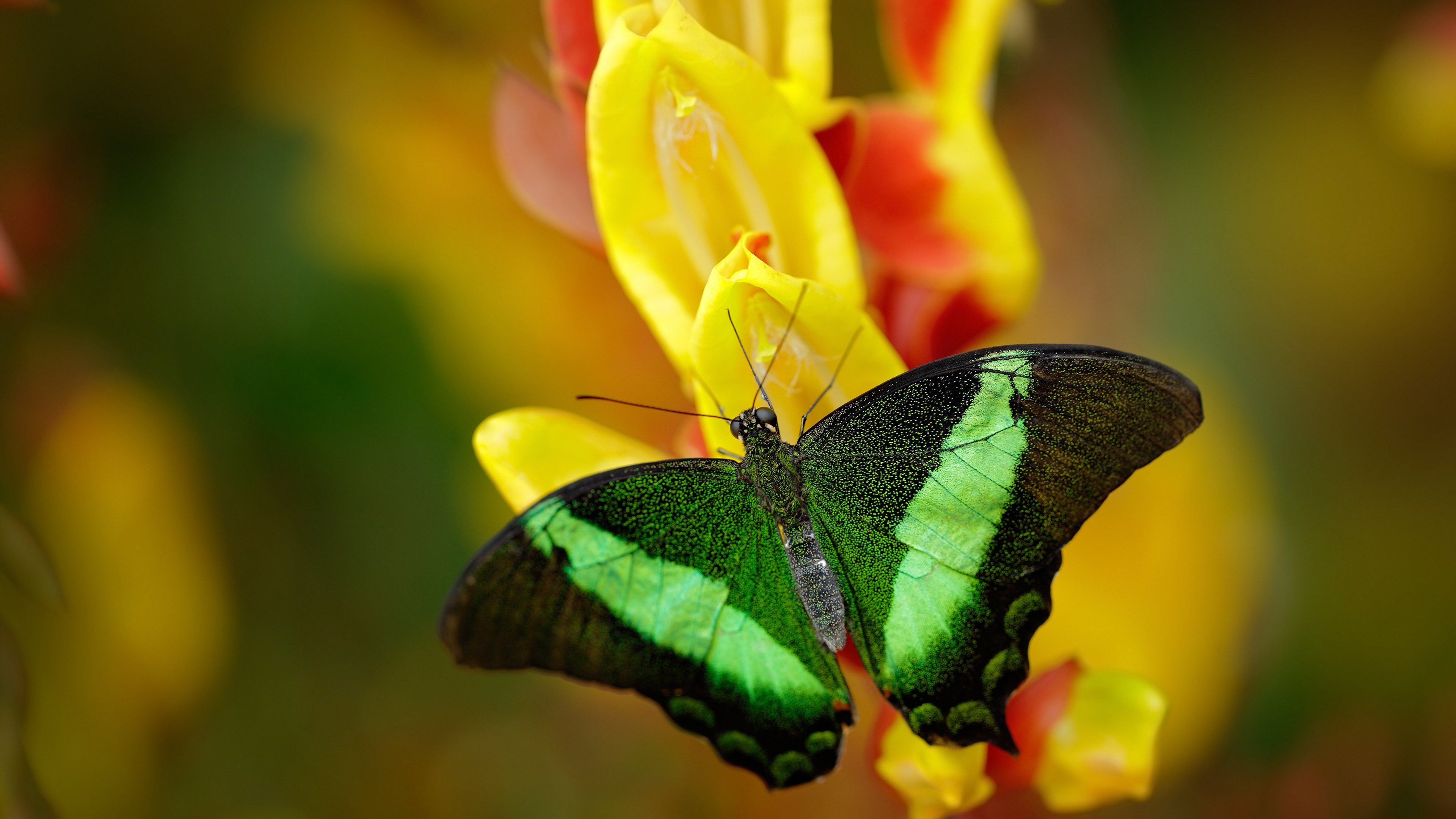 球队是否围绕场地空间变化设定多套推进策略，分析球队状态从哪里入手