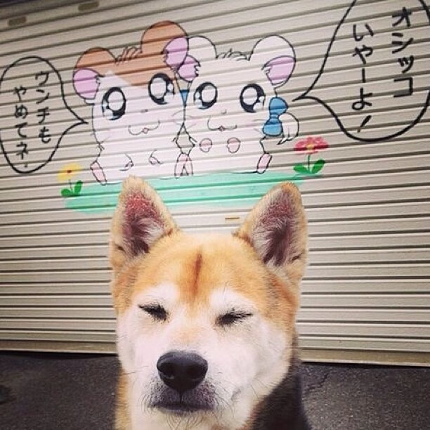 球队是否围绕场地空间变化设定多套推进策略，分析球队状态从哪里入手