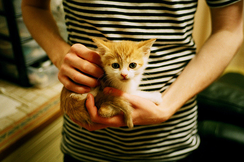 博洛尼亚锋线拉扯带动全队节奏变化，博洛尼亚足球