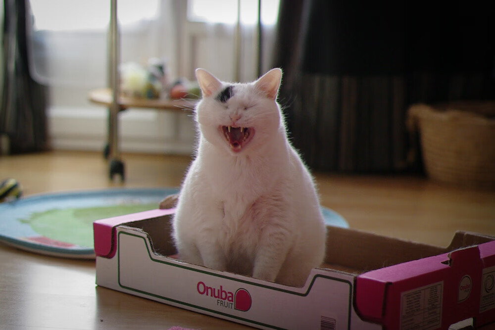 足球青训教练评级机制开始试行，足球青训教练平均工资水平